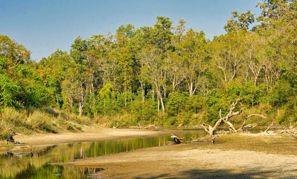 Banke National Park