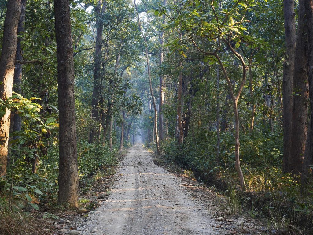 Banke National Park
