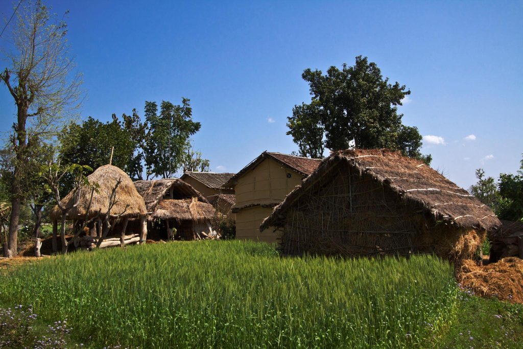 Banke National Park