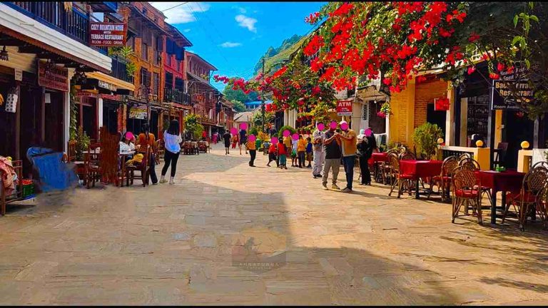 Tourist Footfall Soars in Bandipur Following Two-Day Weekly Holiday Decision