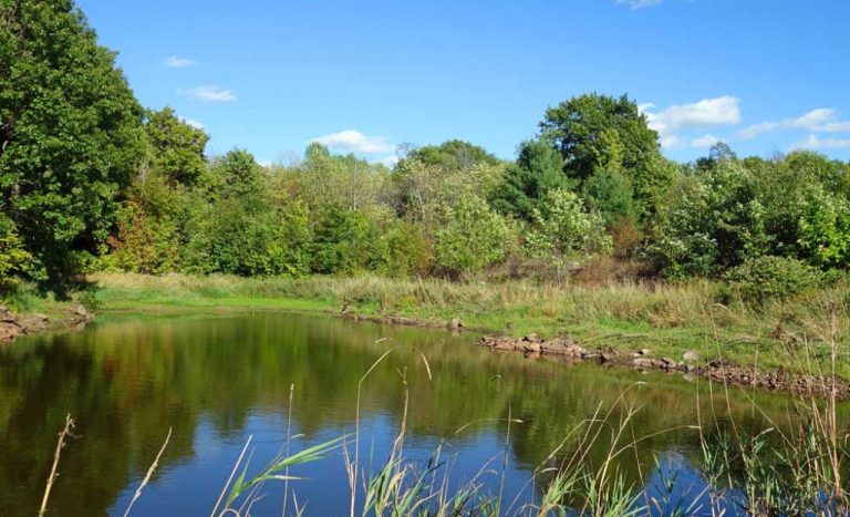 Thalthale Pond Conservation in Bhojpur Aims to Boost Rural Tourism and Water Security