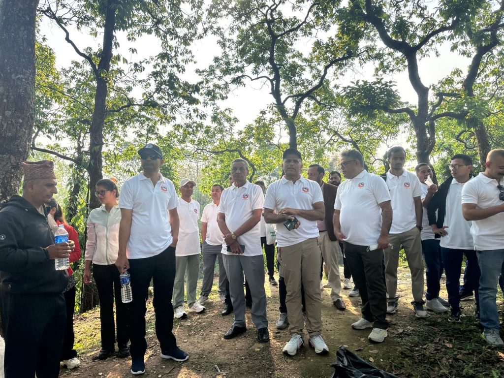 International Wellness Day