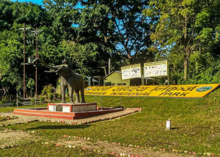 Visitor Numbers Rise at Parsa National Park as Tourism Potential Grows