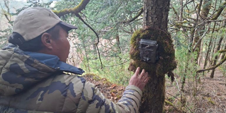 Camera Traps Installed in Dhorpatan to Monitor Endangered Red Panda
