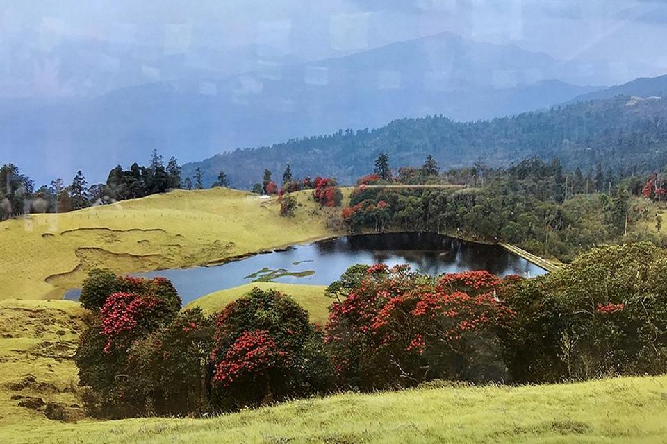 Mundum Trail