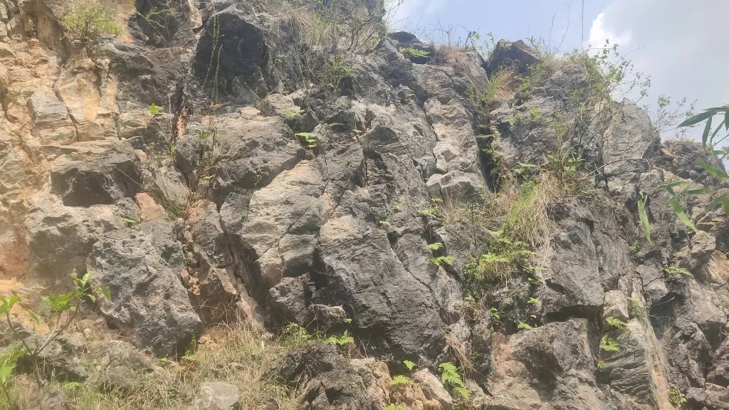 Rock Garden
