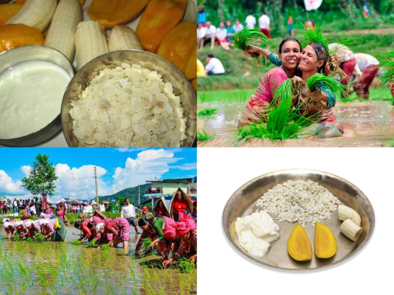 Ashadh 15 in Nepal: History, Cultural Significance, and the Celebration of National Paddy Day