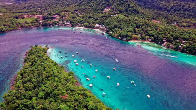 Vanuatu Recommended for World Region of Gastronomy 2027 Title