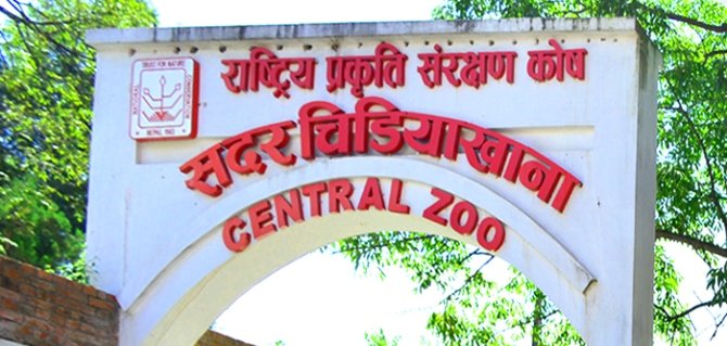 Weekend Holidays Boost Visitor Flow at Central Zoo in Jawalakhel