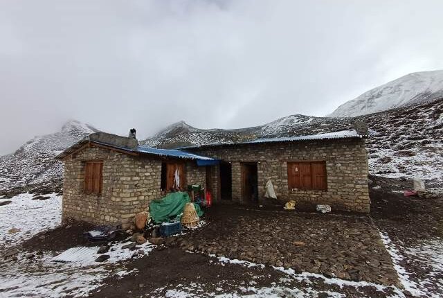 Free Food and Shelter