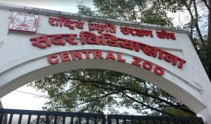 Weekend Holidays Boost Visitor Flow at Central Zoo in Jawalakhel