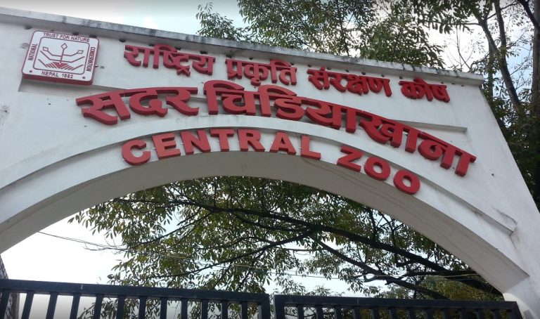 Weekend Holidays Boost Visitor Flow at Central Zoo in Jawalakhel