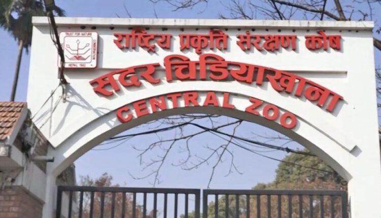 Jawalakhel’s Central Zoo Reopens to the Public After Bird Flu Outbreak
