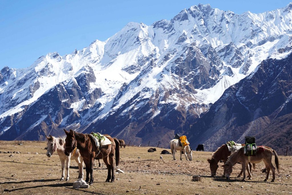 Langtang National Park