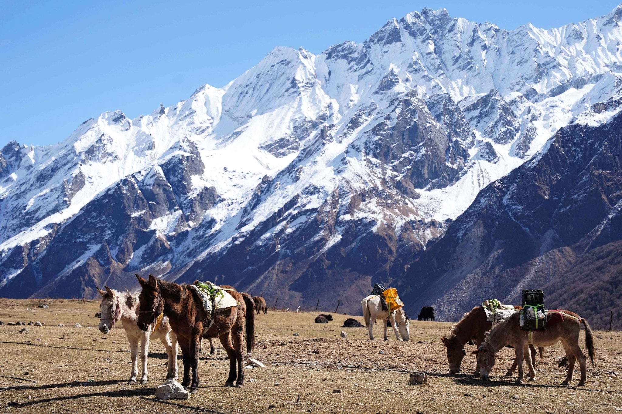 Langtang National Park