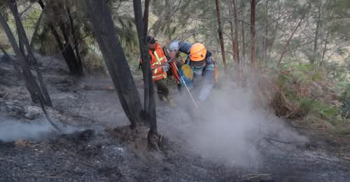 Wildfires Spread Across Indonesia as Toxic Smoke Forces School Closures