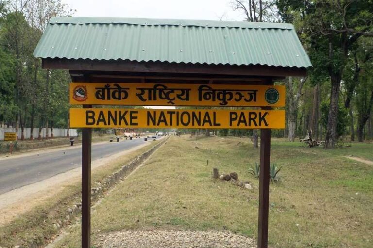 Banke National Park to Get Major Branding Push as Safari Tourism Gains Momentum