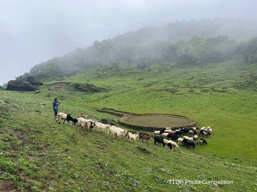 Nine photographs honored in Koshi tourism photo competition