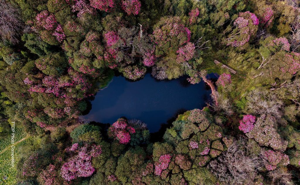 Nine photographs honored in Koshi tourism photo competition