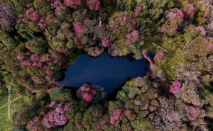 Nine photographs honored in Koshi tourism photo competition