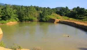 Bhojpur’s Hile Promotes Tourism Through Bar-Pipal Conservation and Green Development