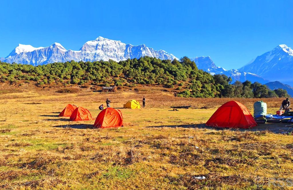 Dhorpatan Hunting Reserve Records 21 Blue Sheep and 11 Himalayan Tahr Hunts in a Year