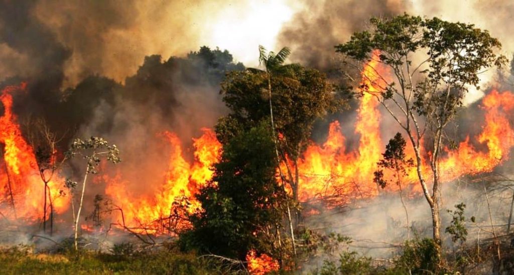 Wildfire Forces Bromo Tengger Semeru National Park Closure in Indonesia