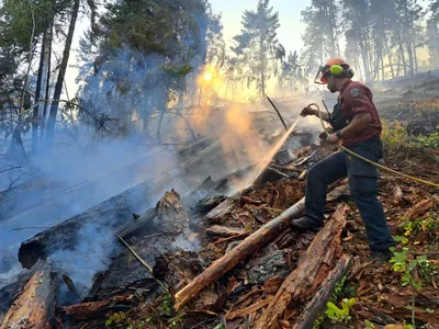 British Columbia wildfire forces mass evacuation as tourism faces disruption