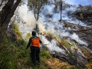 Mount Bromo wildfire forces tourism shutdown as new hotspots emerge