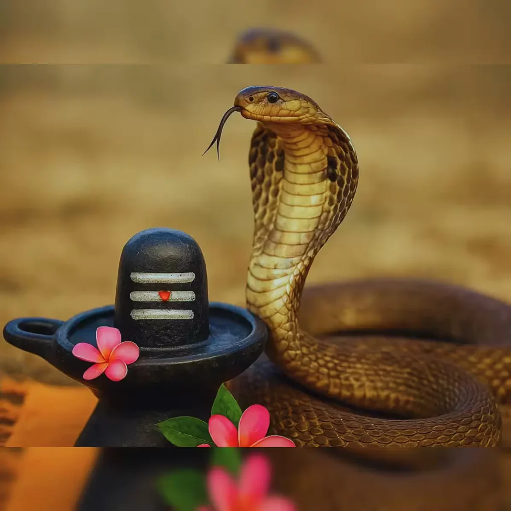 Nag Panchami Celebrated Across Nepal With Deep Religious and Cultural Significance