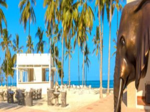Zanzibar Takes Center Stage As Africa’s Tourism Leaders Gather For World Travel Awards 2026