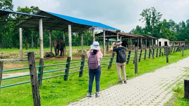 Chitwan’s Wildlife Attractions Open Free to Tourists