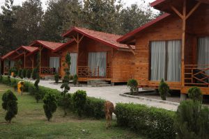 Tiger Forest Hotel Gets ‘BB-’ Rating as Rs. 1.5 Billion Expansion Project Faces Implementation Risks