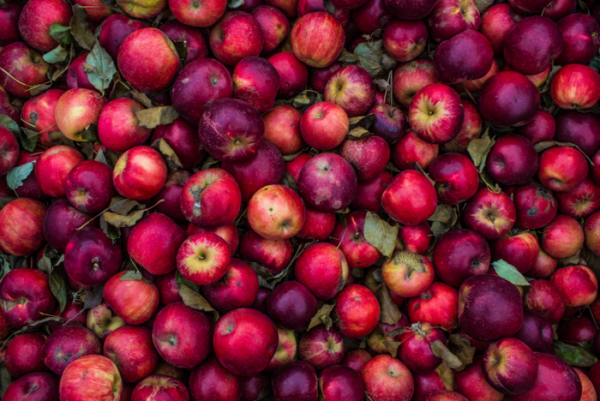 Marpha Apple Festival Promises a Flavorful Escape During Harvest Season