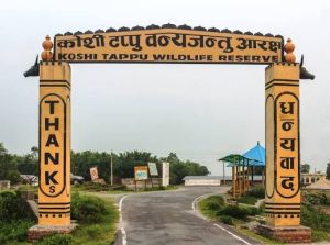Koshi Tappu Struggles for Foreign Tourists as Promotion Falls Short