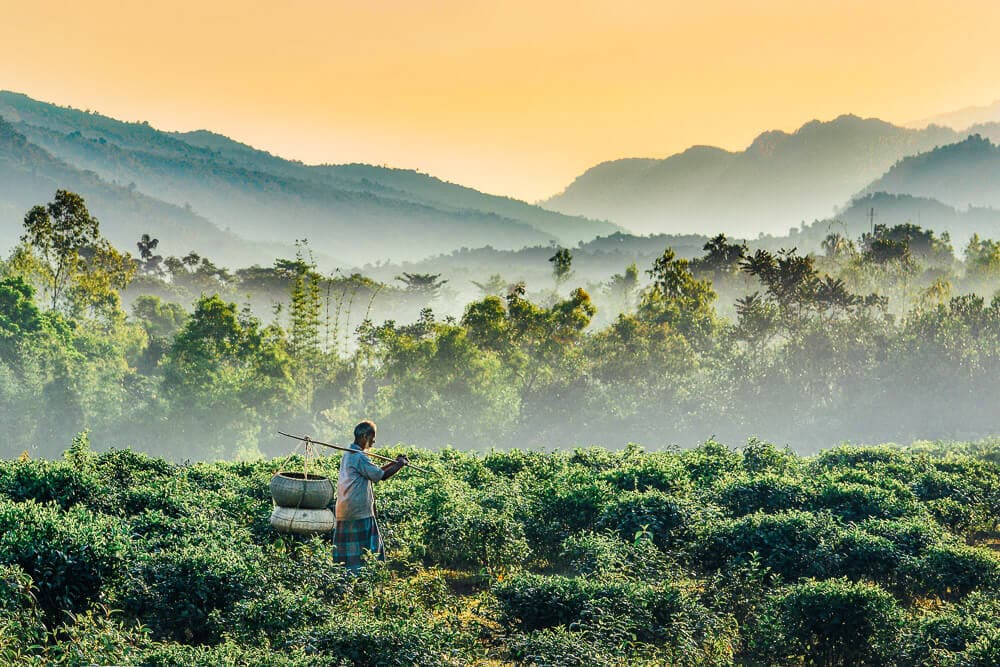 Bangladesh Seeks Kathmandu–Cox’s Bazar Flights to Boost Tourism