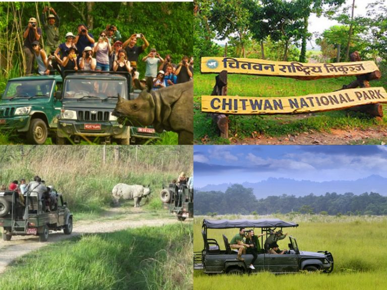 Chitwan National Park Reopens Jeep Safari for Wildlife Tourism