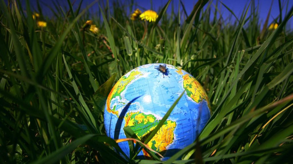 IATA and WSHA Partner to Promote Sustainable Hotel Procurement