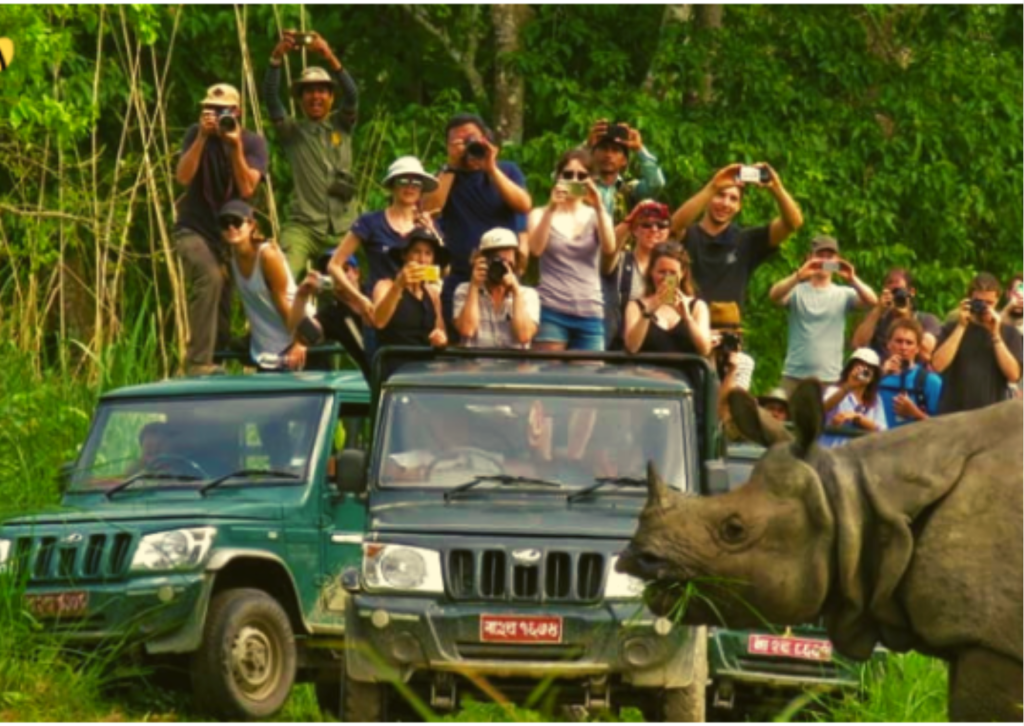 chitwan