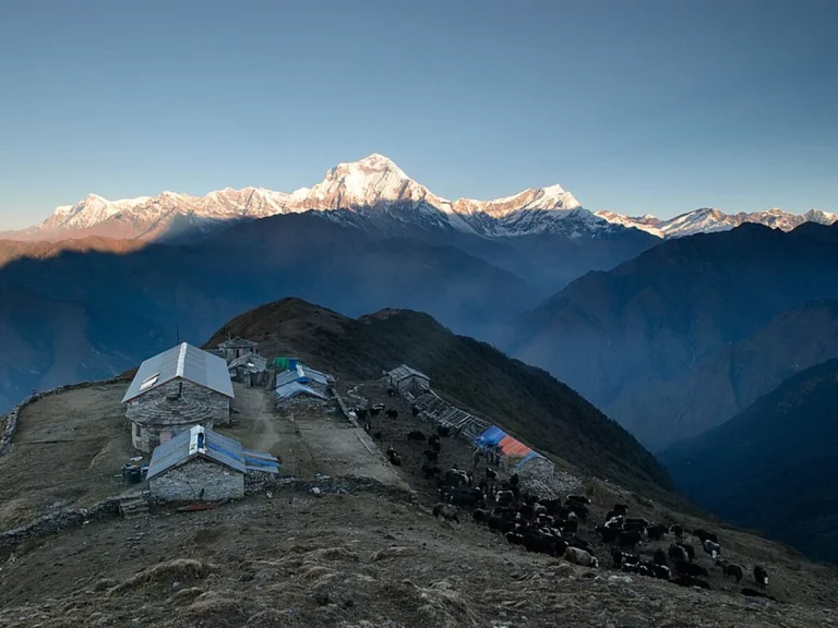 Trekking Update: Birethanti–Ghorepani–Khopra–Khair Lake Trail Safe and Open