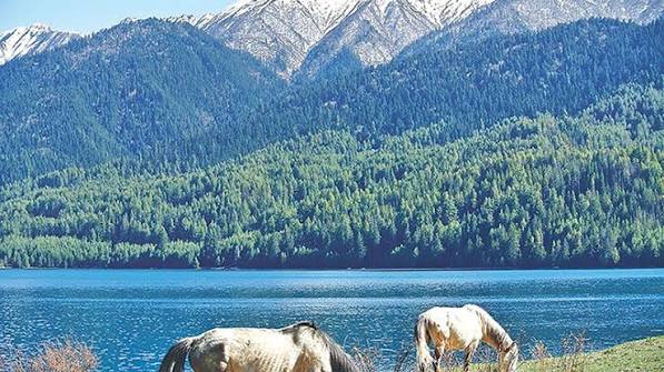 Ramaroshan Premier League to Promote Tourism in Achham