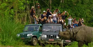 Domestic and International Tourists Bring Growth to Chitwan’s Wildlife Tourism Industry