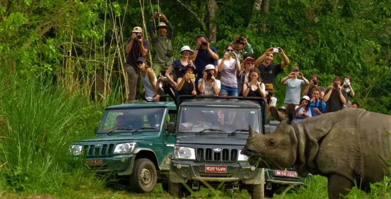 Domestic and International Tourists Bring Growth to Chitwan’s Wildlife Tourism Industry