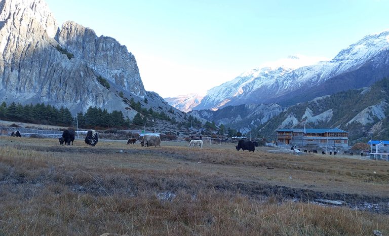 16 Indonesian Tourists Stranded in Manang Rescued by Helicopter
