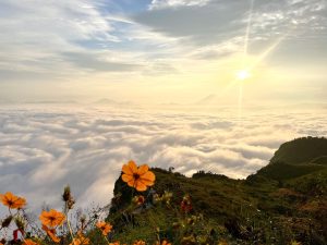 Manungkot Attracts More Tourists with Misty Views and Sunrise Scenery