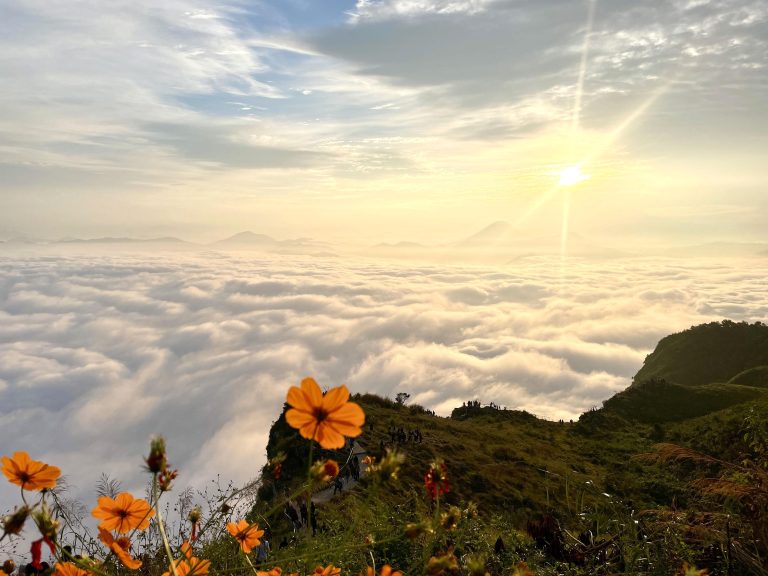 Manungkot Attracts More Tourists with Misty Views and Sunrise Scenery