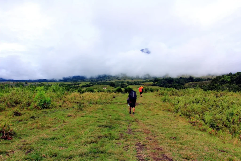 Mount Rinjani’s Senaru Trekking Route Reopens After Wildfire